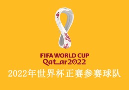 2022年世界杯正赛参加球队：卡塔尔世界杯参赛球队都有谁？-世界杯参赛球队名单-