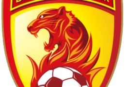 中国足球赛事大全-中国足球赛事直播回顾-